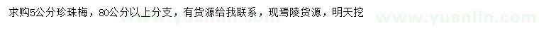求購5公分珍珠梅