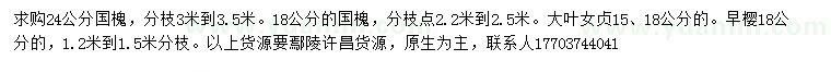 求購國槐、大葉女貞、早櫻