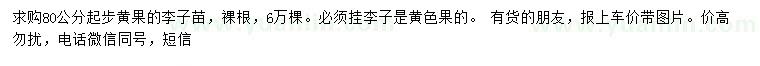 求購(gòu)80公分起步李子苗