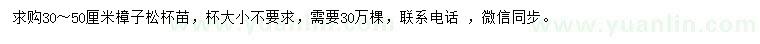 求購30-50公分樟子松
