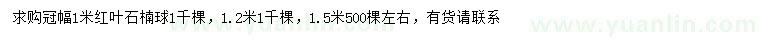 求購冠幅1、1.2、1.5米紅葉石楠球