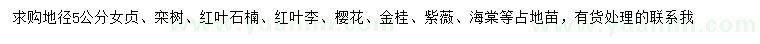 求購(gòu)女貞、欒樹(shù)、紅葉石楠等