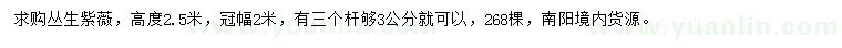 求購高2.5米叢生紫薇