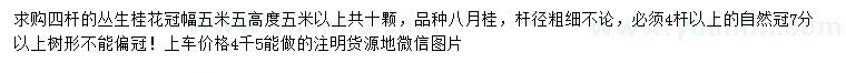求購四桿叢生桂花
