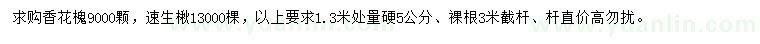 求購1.3米量硬5公分香花槐，速生楸