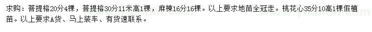 求購20、30公分菩提榕、16公分麻楝