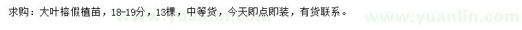 求購18-19公分大葉榕