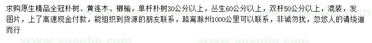 求購樸樹、黃連木、榔榆