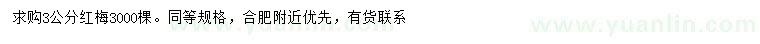求購3公分紅梅