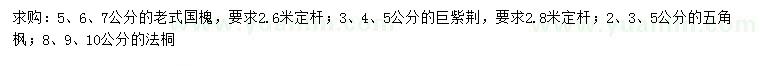 求購老式國槐、巨紫荊、五角楓等