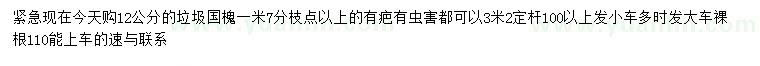 求購12公分國槐