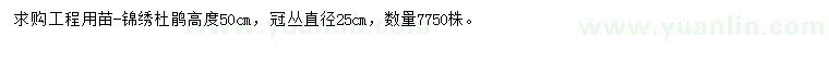 求購高50公分錦繡杜鵑