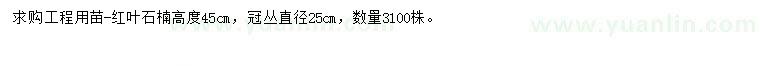 求購高45公分紅葉石楠