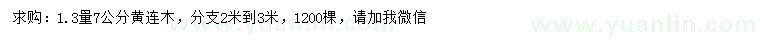 求購1.3米量7公分黃連木