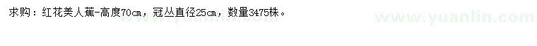 求購高70公分紅花美人蕉