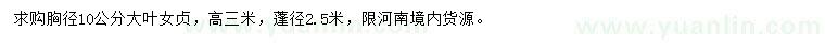 求購胸徑10公分大葉女貞