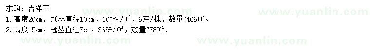 求購高15、20公分吉祥草