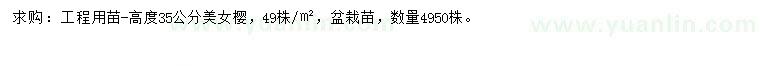 求購高35公分美女櫻