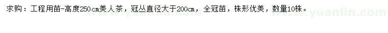 求購高250公分美人茶