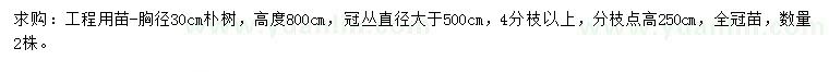 求購胸徑30公分樸樹