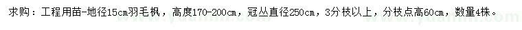 求購地徑15公分羽毛楓
