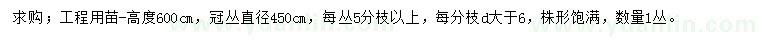 求購高600公分叢生紫薇