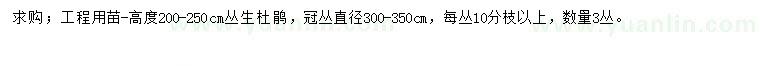 求購(gòu)高200-250公分叢生杜鵑