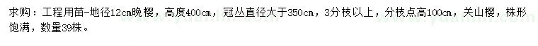 求購地徑12公分晚櫻