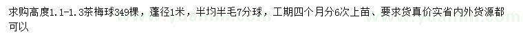求購(gòu)高1.1米茶梅球