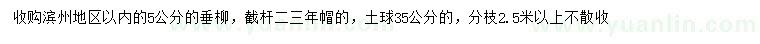 求購5公分垂柳