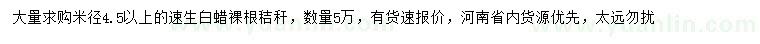 求購(gòu)米徑4.5公分以上速生白蠟