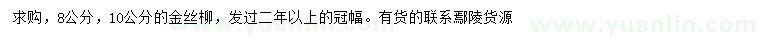 求購8、10公分金絲柳