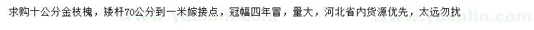 求購10公分金枝槐