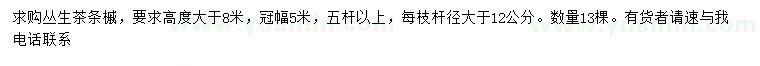 求購冠幅5米叢生茶條槭