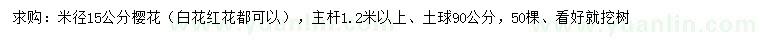 求購米徑15公分櫻花