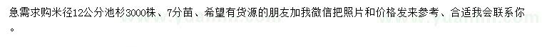 求購米徑12公分池杉
