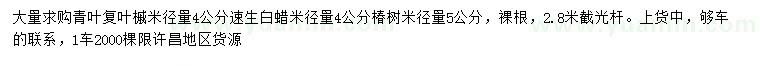 求購青葉復葉槭、速生白蠟、椿樹(shù)