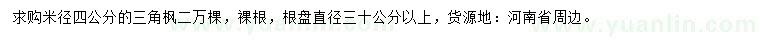 求購米徑4公分三角楓