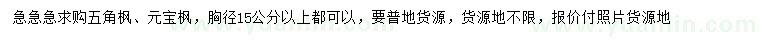 求購胸徑15公分五角楓、元寶楓
