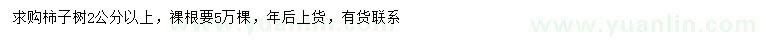 求購2公分以上柿子樹