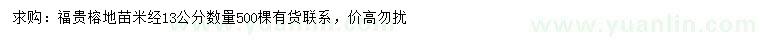 求購米徑13公分福貴榕地苗