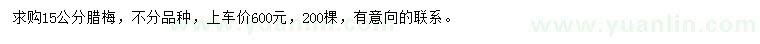 求購15公分臘梅