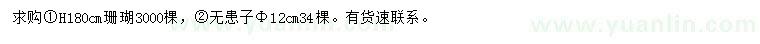 求購高180公分珊瑚、胸徑12公分無患子