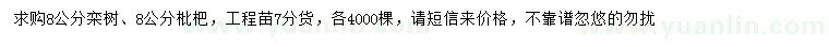 求購8公分欒樹、枇杷