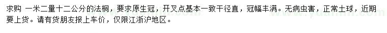 求購1.2米量12公分法桐