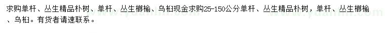 求購樸樹、榔榆、烏桕
