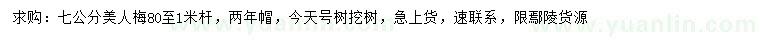 求購7公分美人梅