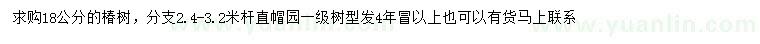 求購18公分椿樹