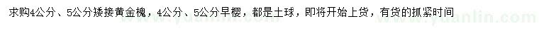 求購(gòu)4、5公分矮接黃金槐、櫻