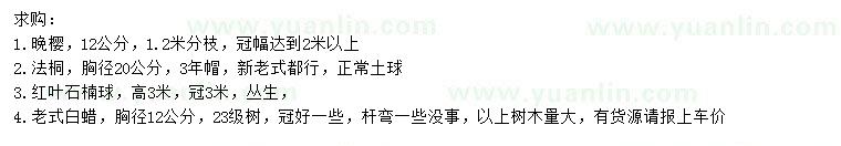 求購晚櫻、法桐、紅葉石楠球等